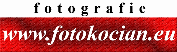 www.fotokocian.eu